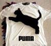 Avatar de Puma